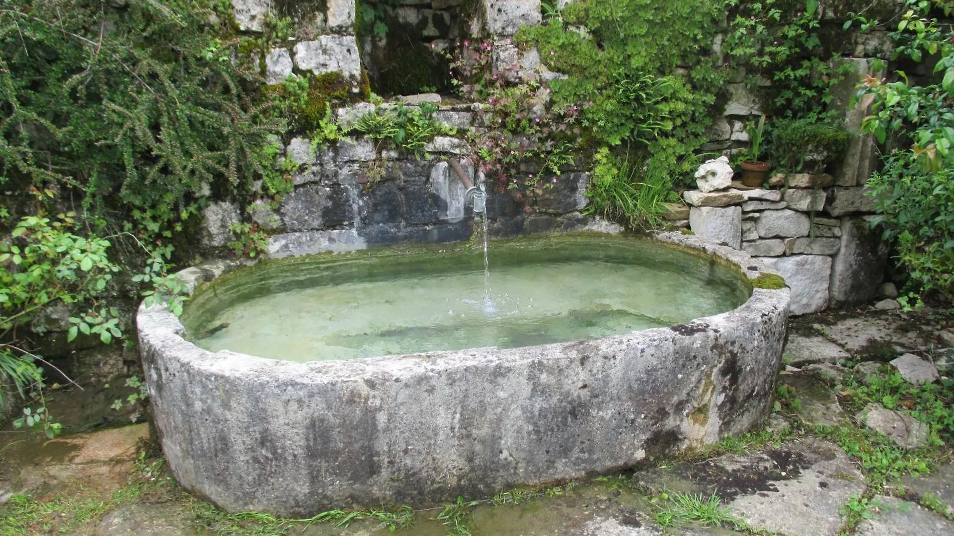 Gite L'Evidence Cerdon  France